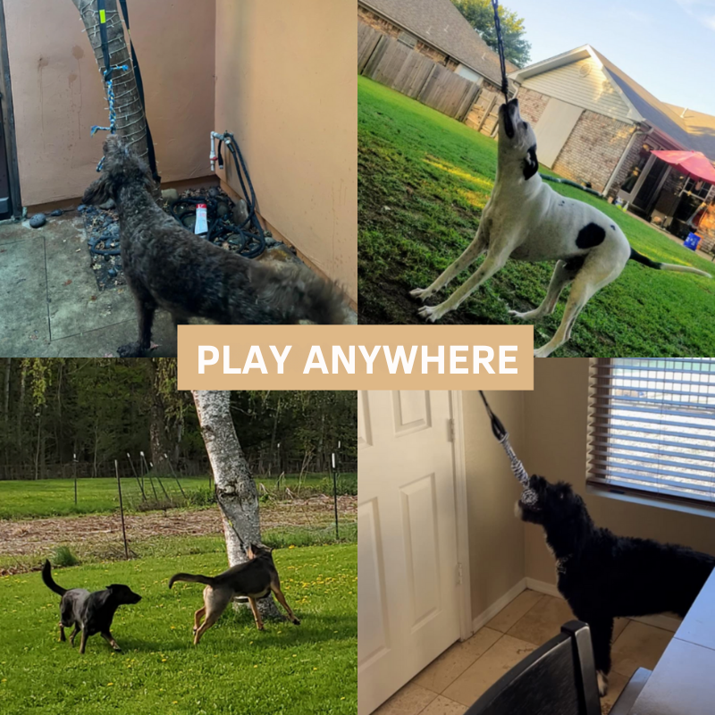 犬用インタラクティブおもちゃ：楽しさ保証！ 