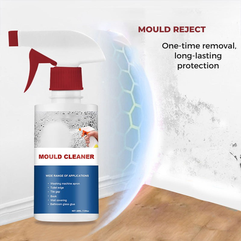 Mousse nettoyante anti-moisissure pour une maison saine