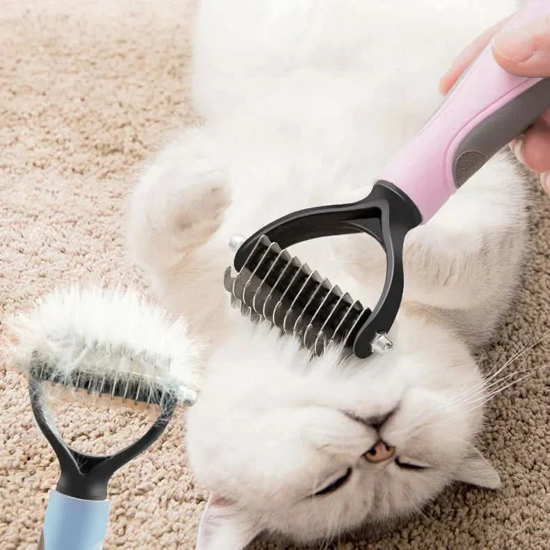 Brosse : l'accessoire idéal pour votre animal de compagnie