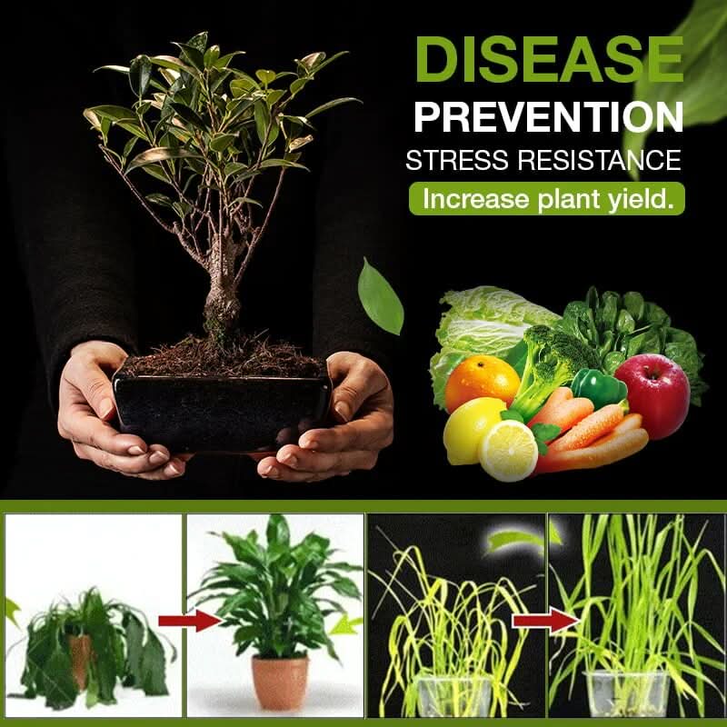 Activateur de sol naturel pour jardin en 3 jours