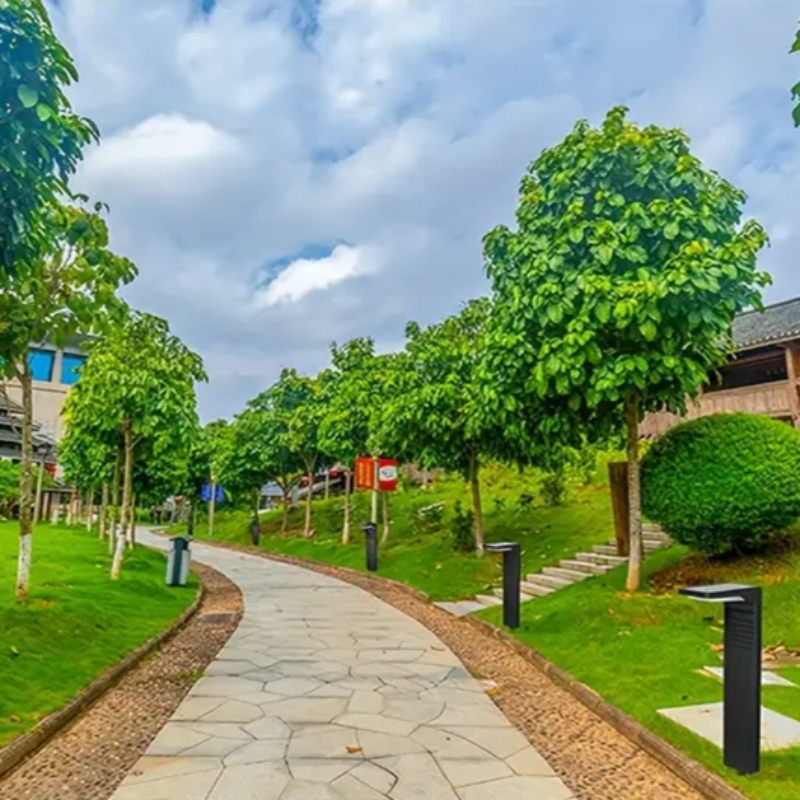 Világítsa meg kertjét elektromosság és erőfeszítés nélkül 